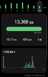미용실 갈 때 걷기 챌린지!