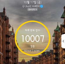 만보 걷기 성공