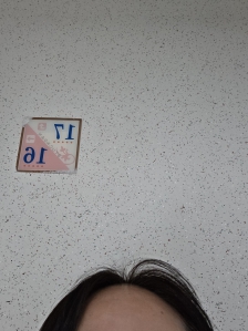 엘리베이터대신 계단이용하기 