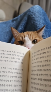 여러분은 포인트 어디에 사용하세요?