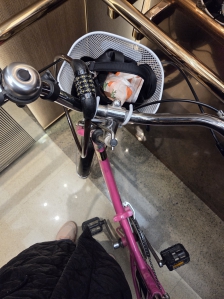 자전거이용하기