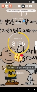 8000보 걷기
