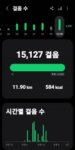 2025년 12월 30일건강걷기