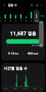 2025년 마지막날 걷기