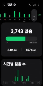 2026년 1월 3일 걷기