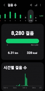 2026년 1월 10일 걷기