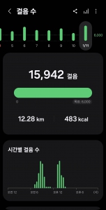 2026년 1월 11일 건강 걷기