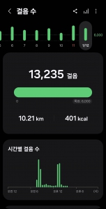 2026년 1월 12일. 건강 걷기