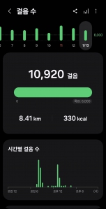 2026년 1월 13일 건강 걷기