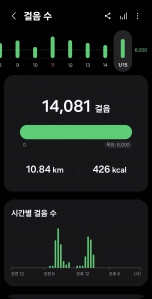 2026년 1월 15일 건강 걷기