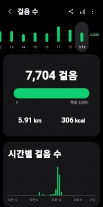 2026년 1월 19일 걷기