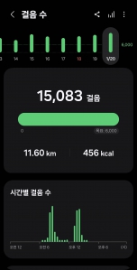 2026년 1월 20일 건강 걷기