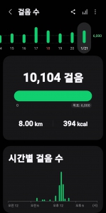 2026년 1월 21일 걷기