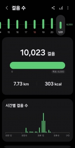 2026년 1월 21일 건강 걷기