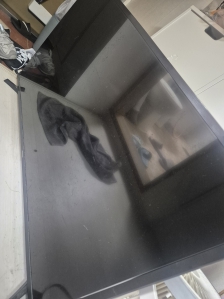 폐가전 수거 신청