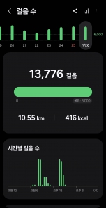 2026년 1월 26일 건강 걷기