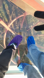 열심히 걸어서 지구살리기에 힘을 보태요