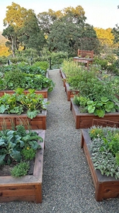 농작물직접 재배해 묵기