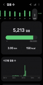 2026년 2월 27일 건강 걷기