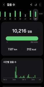 2026년 3월 1일 건강 걷기