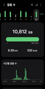 2026년 3월 3일 건강 걷기