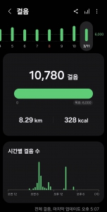 2026년 3월 11일 건강 걷기